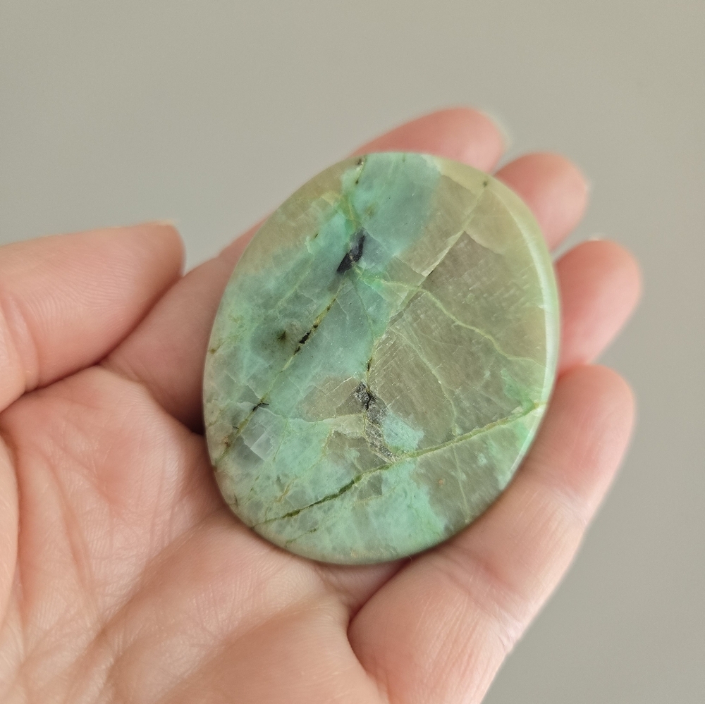 Garnierite Palm Stone